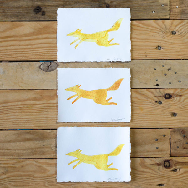 Mini renard – Image 6