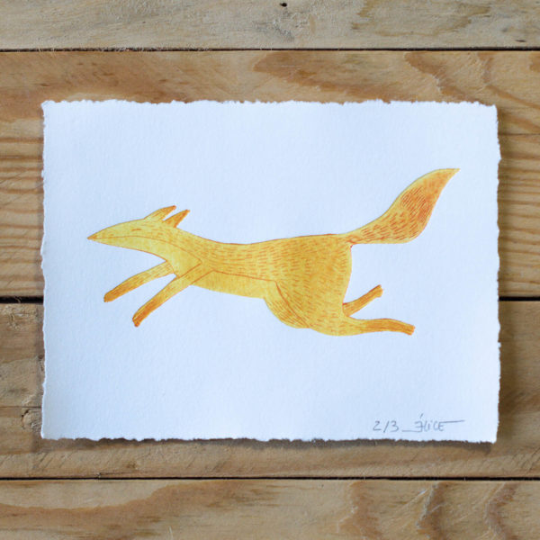 Mini renard