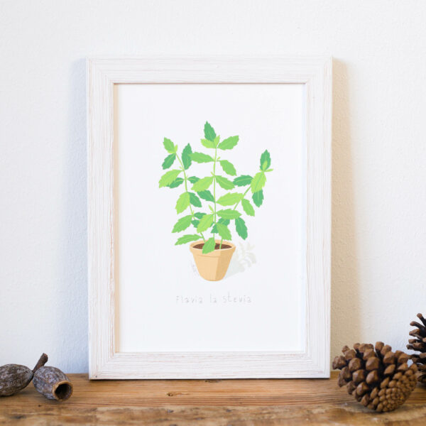 Gouache Originale Flavia la stevia