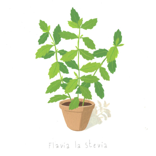 Gouache Originale Flavia la stevia – Image 2