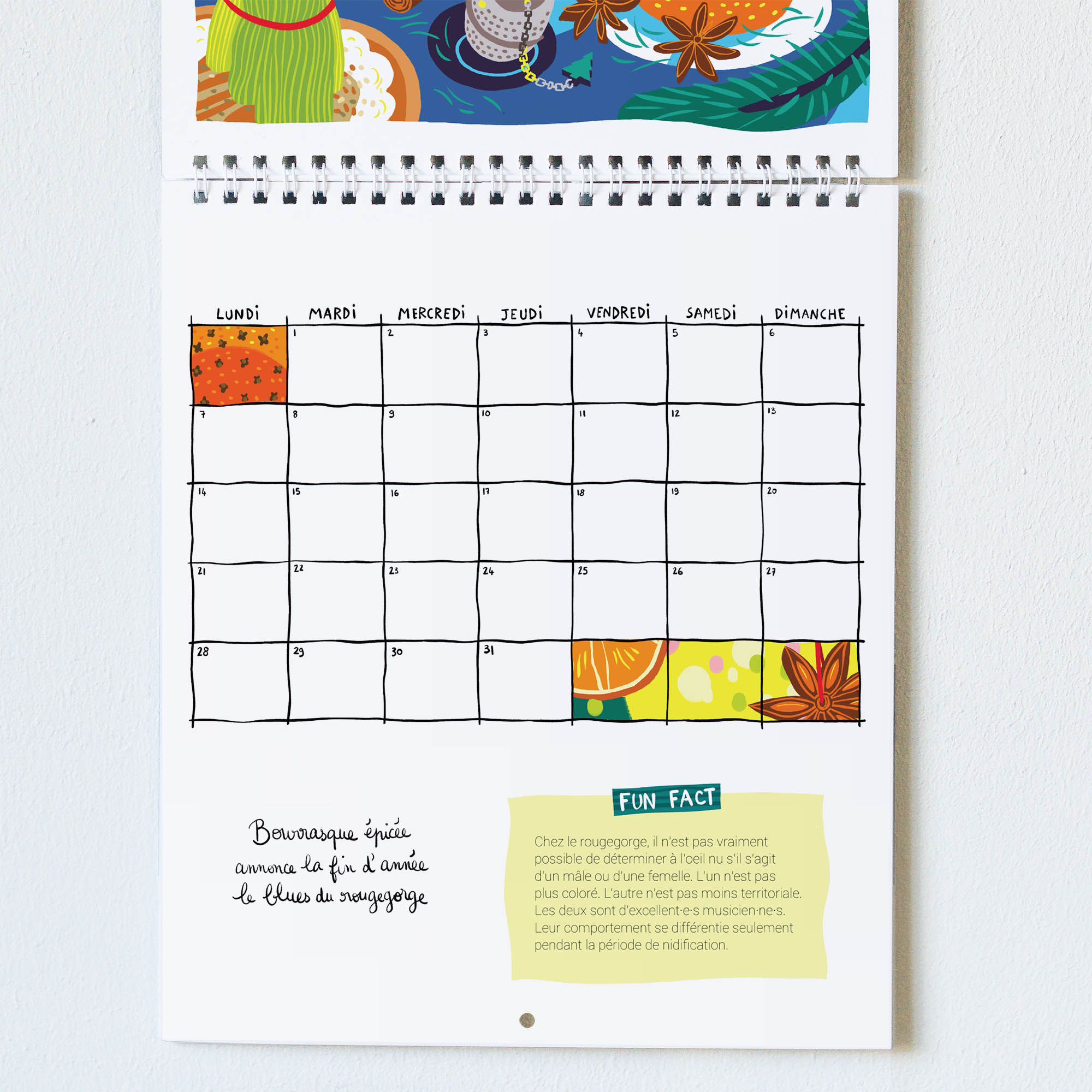 Calendrier mural 2026 (prévente) – Image 3