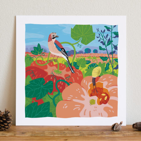 illustration colorée d'un geai posé sur une citrouille dans un champ de courge avec le pic saint loup en fond et un escargot au premier plan