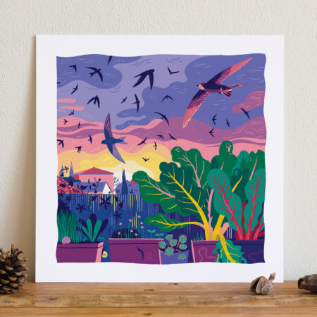 illustration d'un vol de martinets au dessus de toits sur fond de couché de soleil avec des jardinières au premier plan