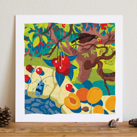 illustration d'un merle qui mange des cerises dans un cerisier avec des abricots posés sur un muret au premier plan et une rosalie des alpes