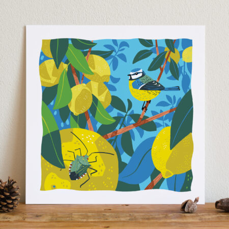 illustration colorée d'une mésange bleu sur un citronnier avec des citrons jaunes