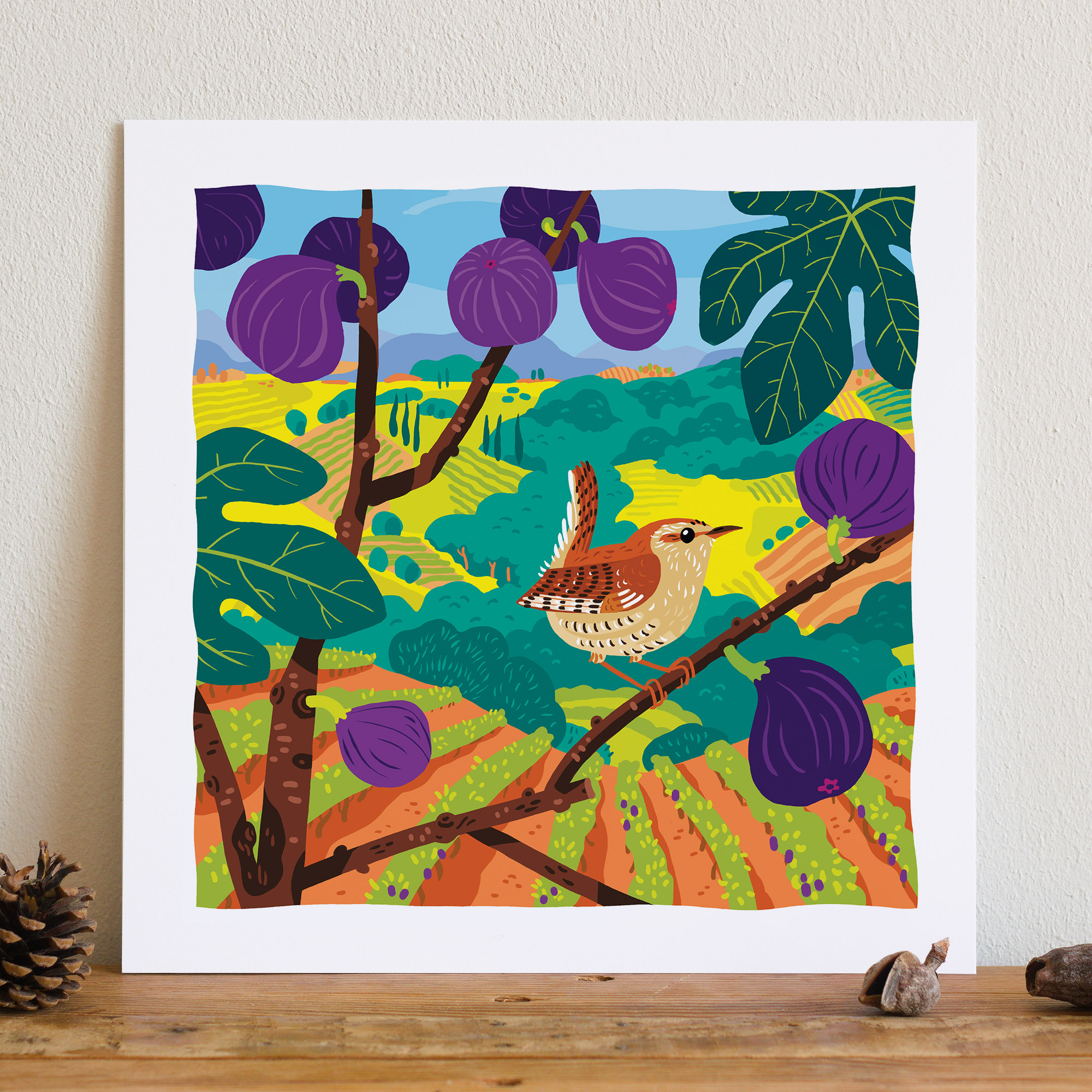 illustration colorée d'un troglodyte mignon perché sur une branche de figuier avec des figues violettes au premier plan et une vue sur des champs de vigne et garrigue en fond