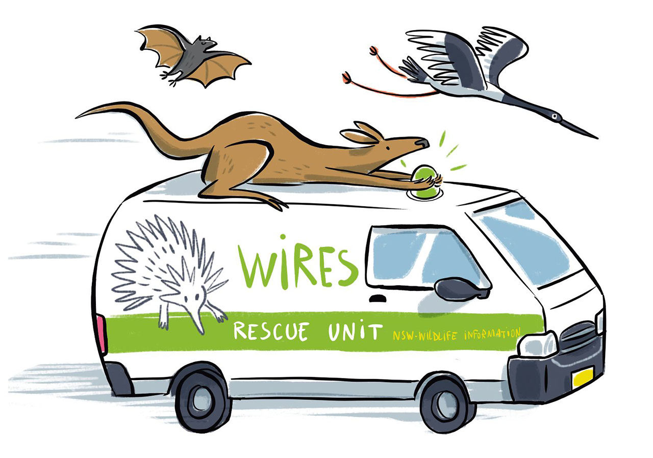 BD d'information pour une collecte de dons pour WIRES, association de protection de l'environnement et de la faune sauvage australienne