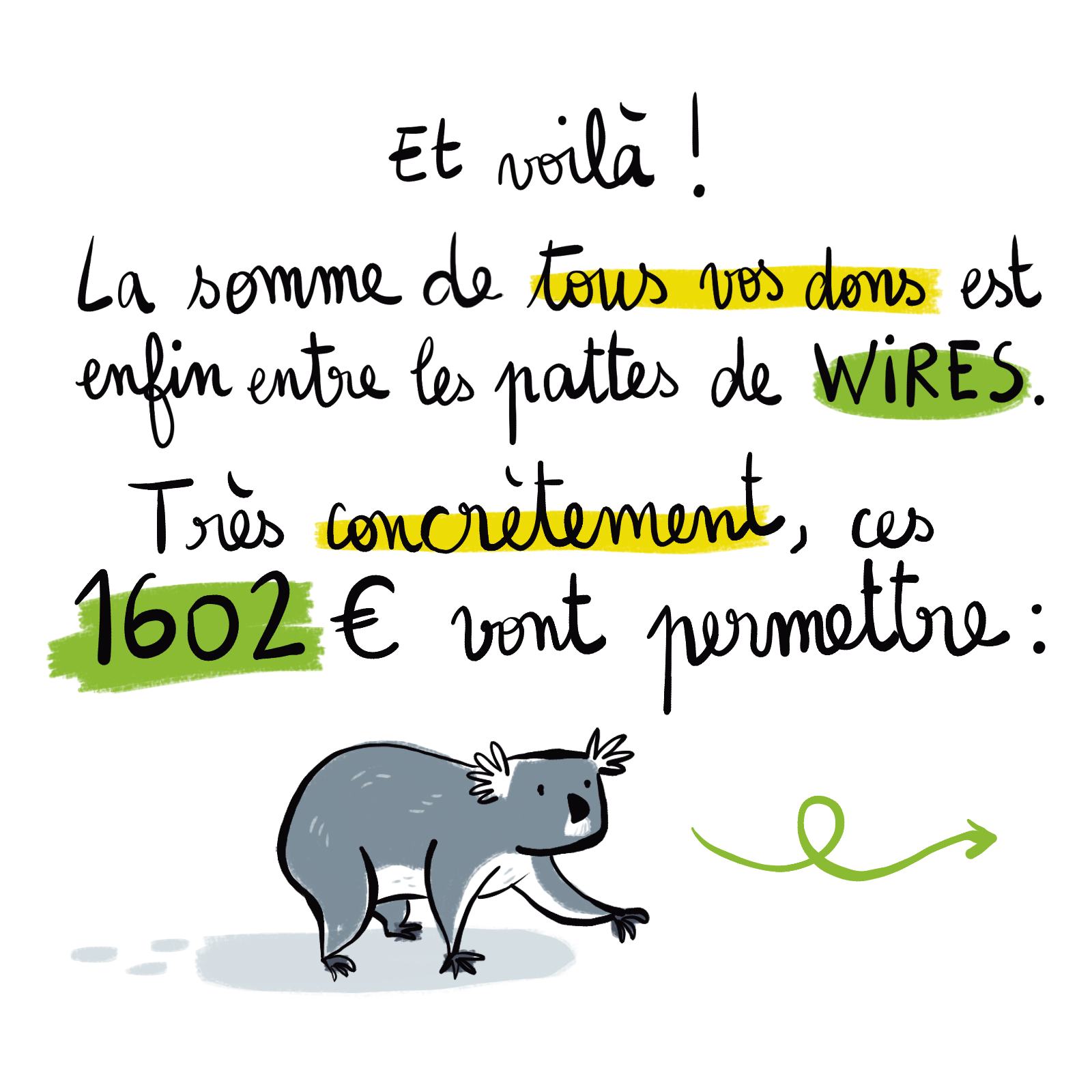 BD d'information pour une collecte de dons pour WIRES, association de protection de l'environnement et de la faune sauvage australienne