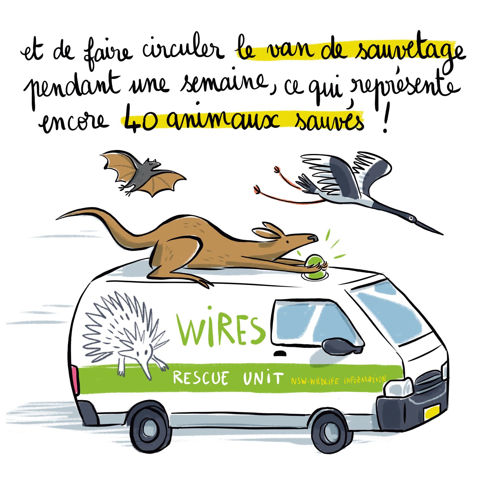 BD d'information pour une collecte de dons pour WIRES, association de protection de l'environnement et de la faune sauvage australienne