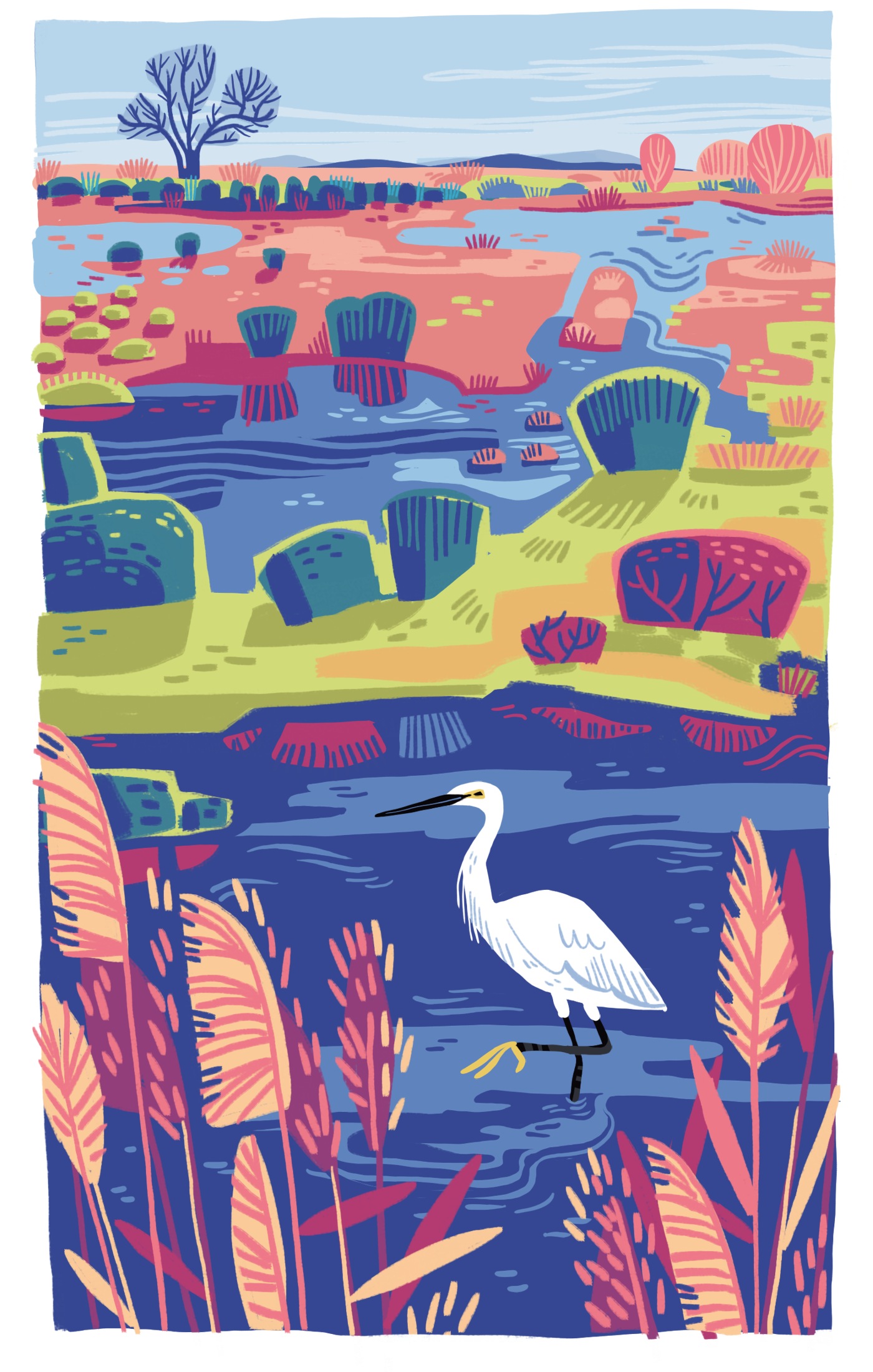 illustration numérique d'une aigrette garzette dans la réserve naturelle de l'étang du Méjean, à Palavas les flots.